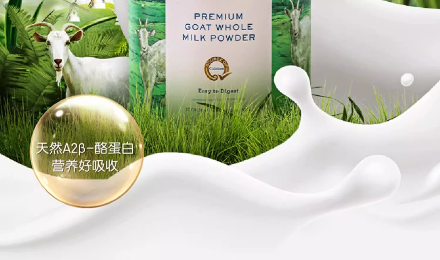 Taupo Goat详情-1 (2).jpg